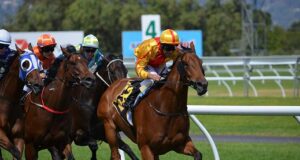 VIDEO: Neil Simpson impresses at Barum Czech Rally Zlín Horse Racing